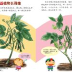 儿童绘本故事《豆豆食物》PPT免费下载-bt