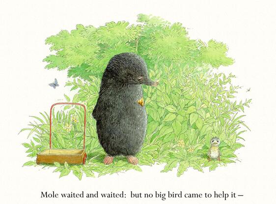 英文绘本故事《mole and the baby bird》PPT免费下载-bt