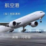 阿瑟.黑利职场小说《航空港》MP3免费打包下载 82集全-bt