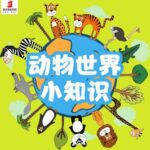 儿童睡前故事《动物世界的77个小知识》MP3免费打包下载 77集 精灵袋鼠妈妈播音-bt