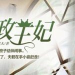 有声小说《摄政王妃》MP3免费打包下载 天下书盟播音 237集完结-bt