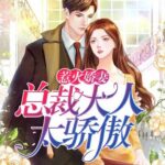 有声小说《惹火娇妻：总裁大人太骄傲》MP3免费打包下载 温暖柔光江小白播讲749集-bt