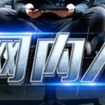 豆瓣年度悬疑推理NO.1《网内人》MP3免费打包下载 骆驼演播 103集完结-bt