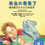 儿童绘本故事《我当大哥哥了》PPT免费下载-bt