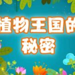 儿童故事《植物王国的77个小秘密》MP3免费打包下载 精灵袋鼠妈妈播讲 77集-bt