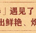 有声小说《大院子女》MP3免费打包下载 63集完结 石钟山作品-bt