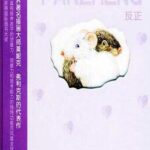 儿童绘本故事《反正》PPT免费下载-bt