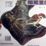 儿童绘本故事《雨靴里的麻雀》PPT免费下载-bt